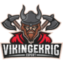 Vikingekrig Esports