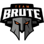 Team Brute